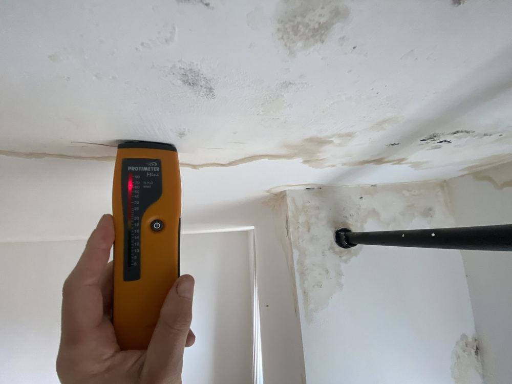Mesure d'humidité au plafond après dégât des eaux dans le Morbihan