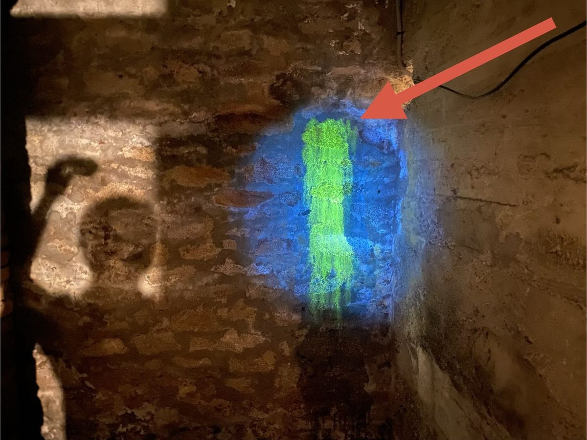 Test au colorant fluorescent sur un mur pour localiser une fuite d'eau dans le Morbihan